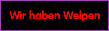 Wir haben Welpen